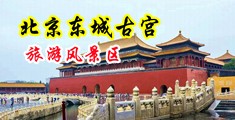 肉丝美女扣逼视频中国北京-东城古宫旅游风景区